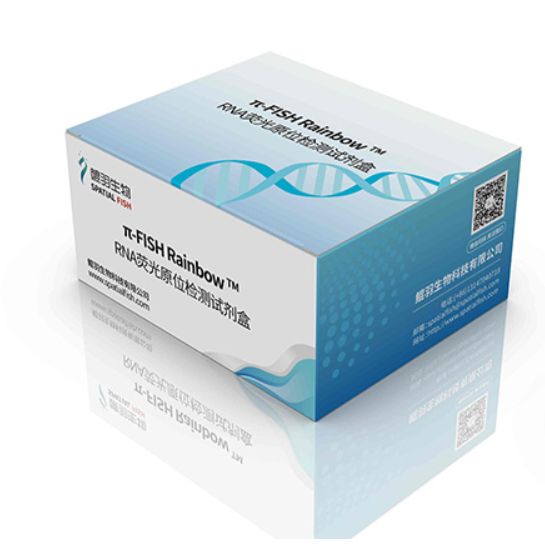 π-FISH RainbowTM个性探针定制(1gene)(人、小鼠、大鼠、斑马鱼以外物种的mRNA)