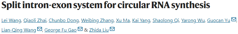新闻图片14