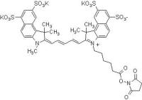 磺基花青5.5 NHS酯,2419286-92-1,≥95%,阿拉丁