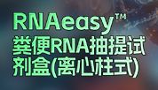 粪便核酸提取，碧云天配齐一套——从DNA到RNA，从离心柱到磁珠法