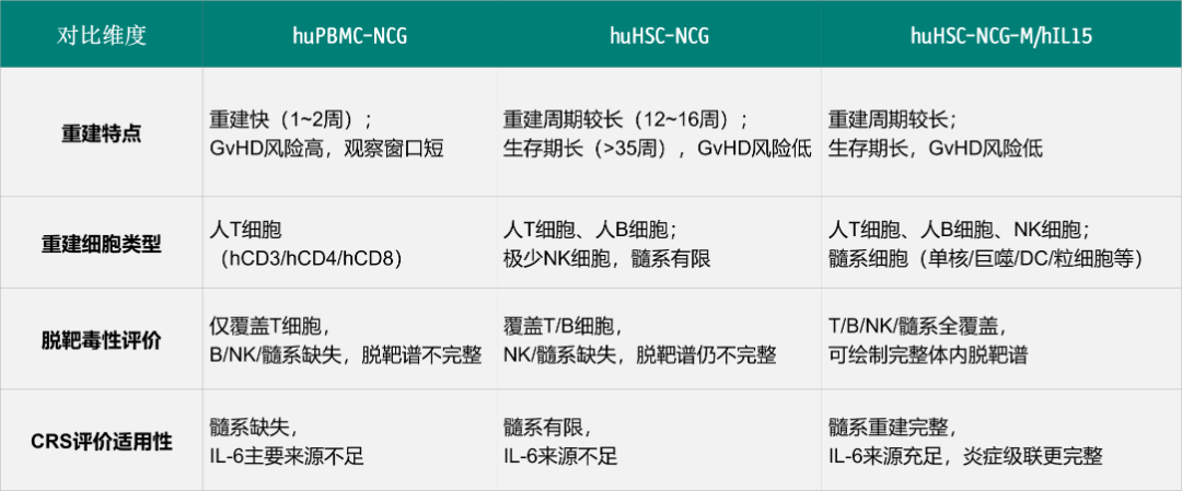 In vivo CAR-T 浪潮已至（三）：载体只找 T 细胞？多谱系重建才是脱靶毒性评价的照妖镜