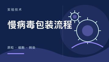 慢病毒自己怎么包装？HEK293T、包装质粒、转染体系与Lenti-Pro试剂盒指南