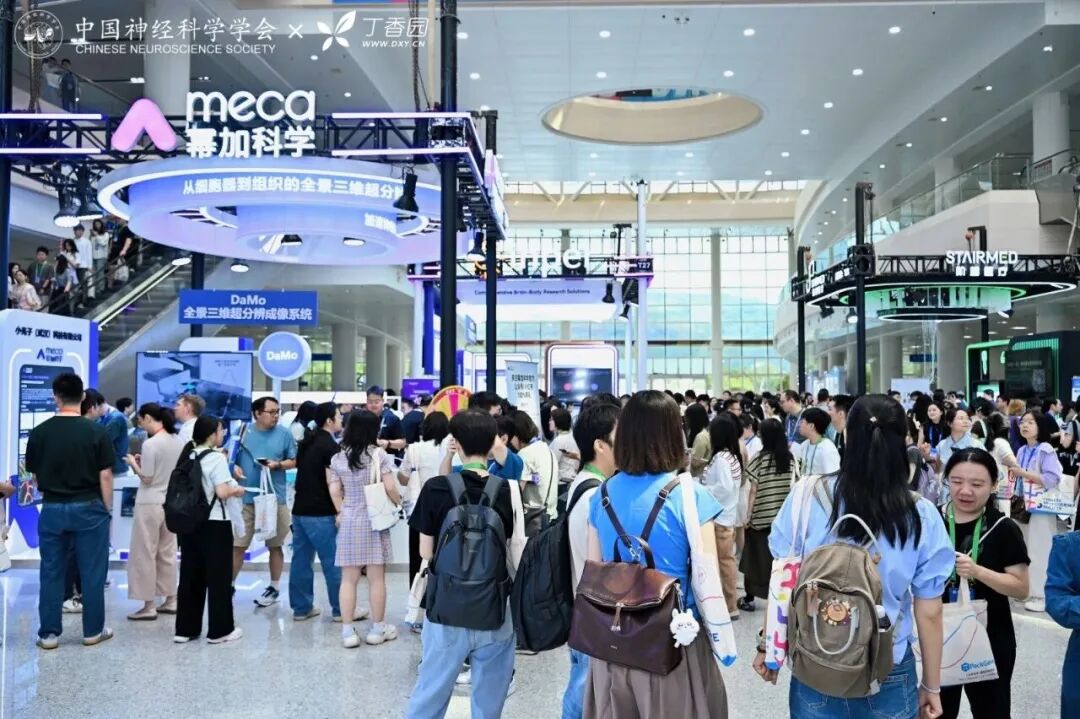 新闻图片2