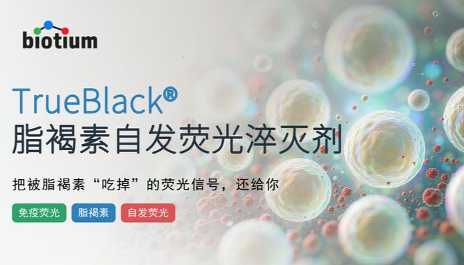 产品解析丨免疫荧光新工具TrueBlack®，高效淬灭脂褐素