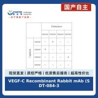 VEGF-C Recombinant Rabbit mAb (SDT-084-30)