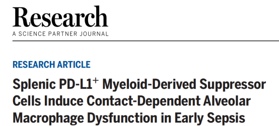Research（IF 12.9）|康测科技ATAC-seq、RNA-seq助力揭示早期脓毒症中脾脏PD-L1+ MDSC诱导肺泡巨噬细胞功能障碍的表观机制
