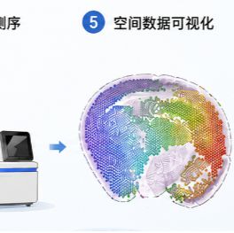 空间多组学测序