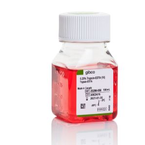 Dxy_TRYPSIN 0.25% EDTA 500ML