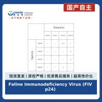 Feline Immunodeficiency Virus (FIV p24) Recombinant Rabbit mAb (SDT-562-62)