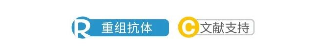 抗体验证.jpg 抗体验证.jpg