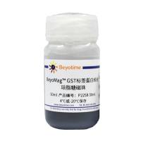 BeyoMag™ GST标签蛋白纯化琼脂糖磁珠