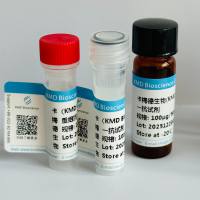 Rabbit anti GST-Tag Polyclonal Antibody