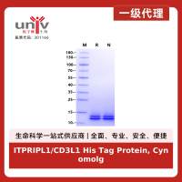 ITPRIPL1/CD3L1 His Tag Protein, Cynomolgus