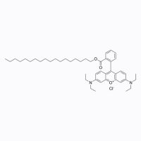 十八基罗丹明B氯化物,65603-19-2,BioReagent, 生物染色剂, 适用于荧光分析, 用于显微镜, ≥95%,阿拉丁