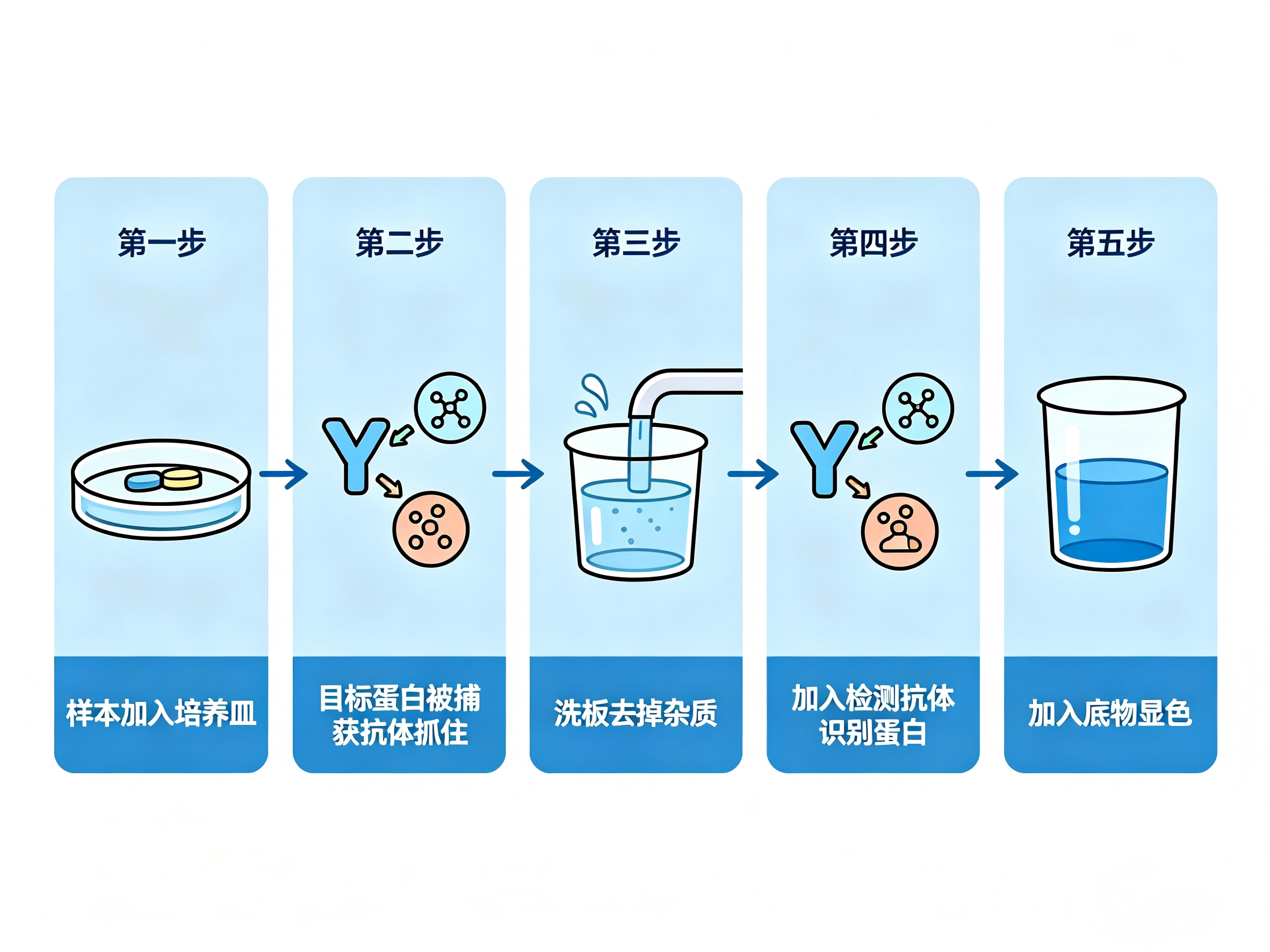 产品细节图片4