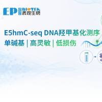E5hmC-seq | 低至1 ng,单碱基5hmC羟甲基化测序
