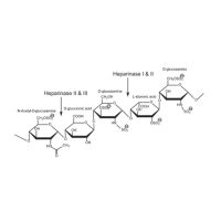 肝素酶 I 和 III 混合物,EnzymoPure™, ≥200(U/mg),from Flavobacterium heparinum,阿拉丁