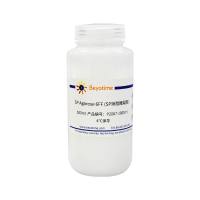 SP Agarose 6FF (SP琼脂糖凝胶)
