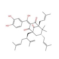 山竹子素，78824-30-3，Moligand™, ≥95%，阿拉丁