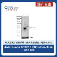 Anti-Human GPRC5D/CD3 Monoclonal Antibody (Talquetamab)