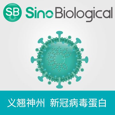 重组SARS-CoV-2 (BA.3.2) Spike S1+S2 trimer蛋白 (His &AVI标签), 生物素标记产品图