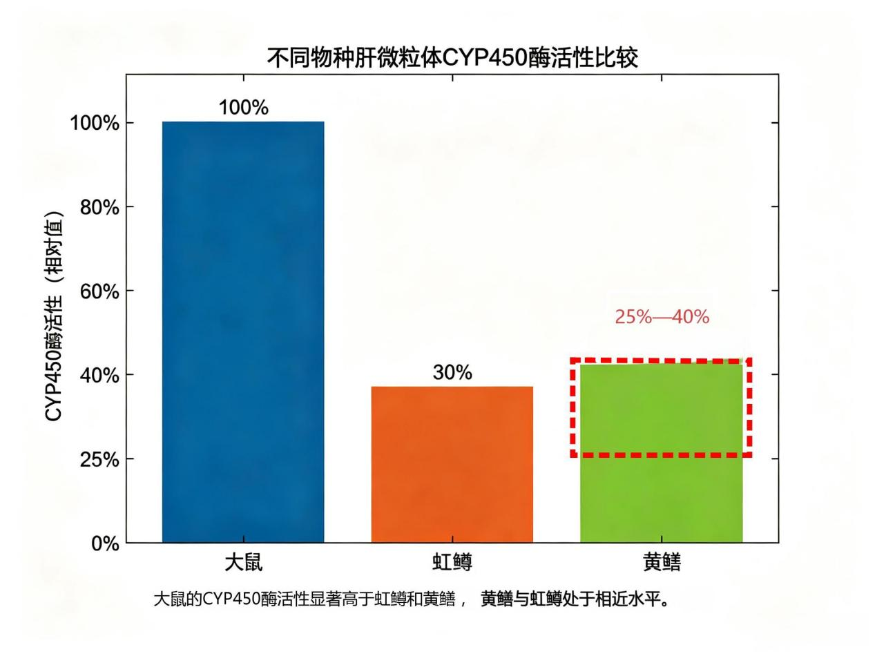 黄鳝 1.png