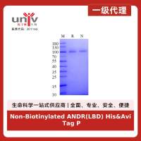 Non-Biotinylated ANDR(LBD) His&Avi Tag Protein, Human