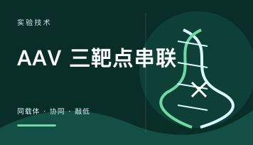 AAV三靶点串联是什么？和三个AAV混用有什么区别？