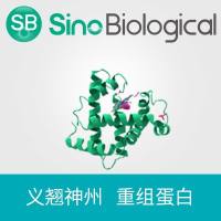 重组恒河猴 补体 C5 蛋白 (His 标签)