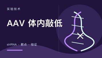 AAV-shRNA三保一是什么？3个靶点如何降低体内敲低失败风险