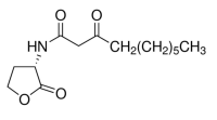 N-(3-氧代癸酰基)-L-高丝氨酸内酯,147795-40-2,≥98%,阿拉丁