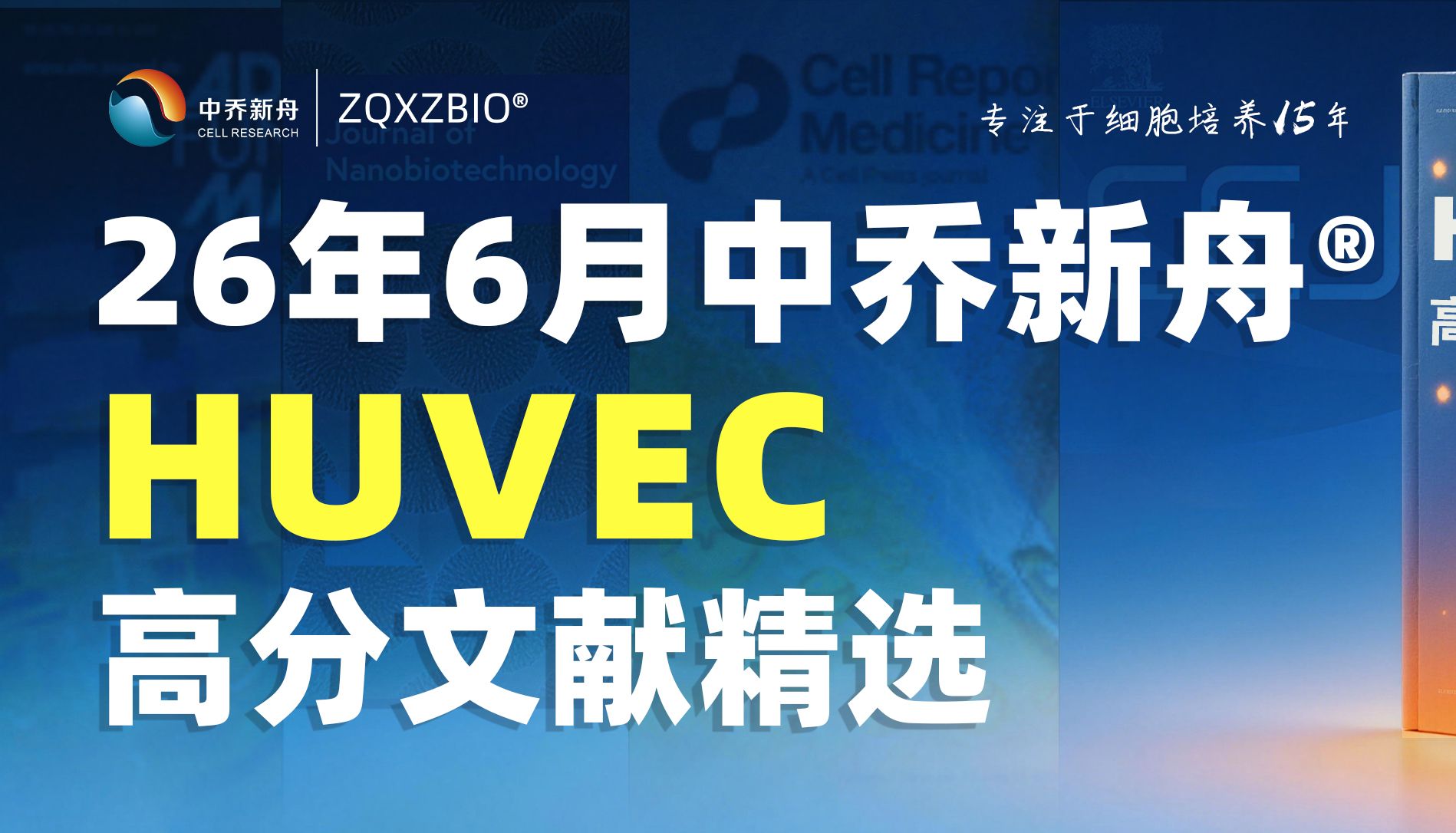 26年6月中乔新舟HUVEC细胞高分文献精选