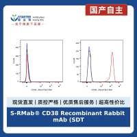 S-RMab® CD38 Recombinant Rabbit mAb (SDT-031-45-2)