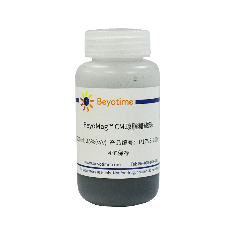 BeyoMag™ Q琼脂糖磁珠