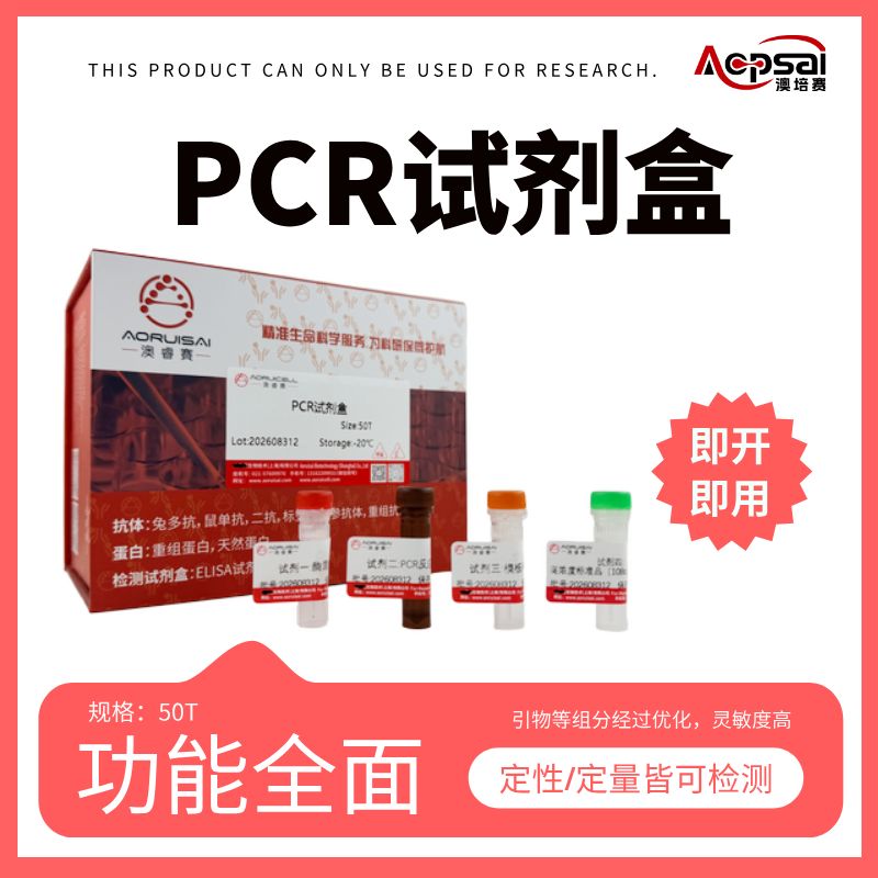 植物乳植杆菌核酸检测试剂盒(荧光PCR探针法)