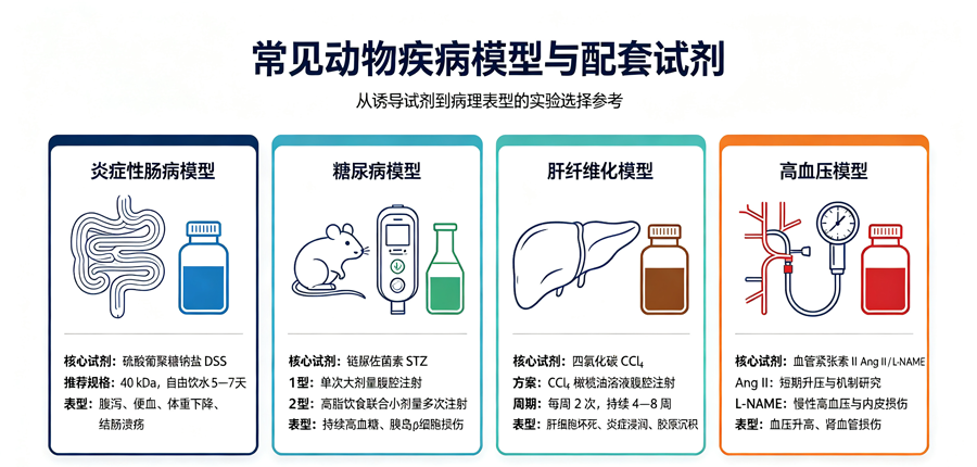 新闻图片1