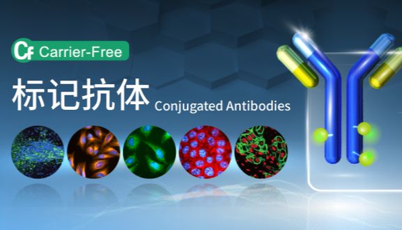 GeneTex 标记抗体，简化实验流程