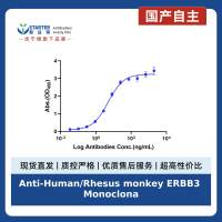 Anti-Human/Rhesus monkey ERBB3 Monoclonal Antibody (Lumretuzumab)