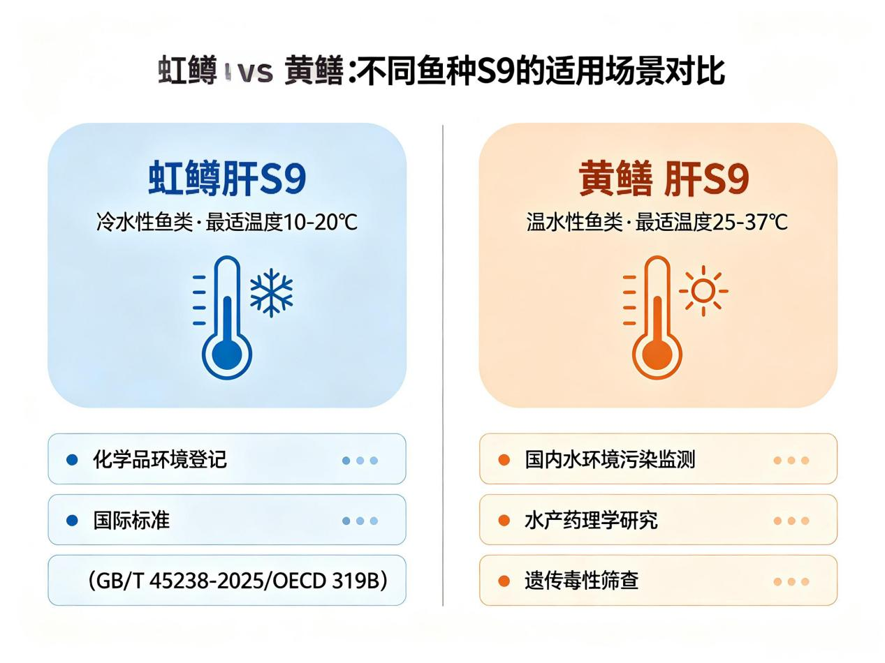 黄鳝 3.png