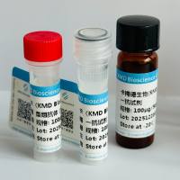 Rabbit anti MBP-Tag Polyclonal Antibody