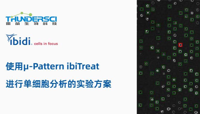单细胞水平基因表达定量分析：µ-Pattern ibiTreat实验方案