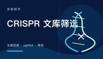 CRISPR文库是什么？从原理、类型到全基因组筛选，一文讲清