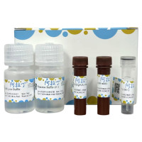 Caspase 4 活性检测试剂盒,BioReagent,阿拉丁