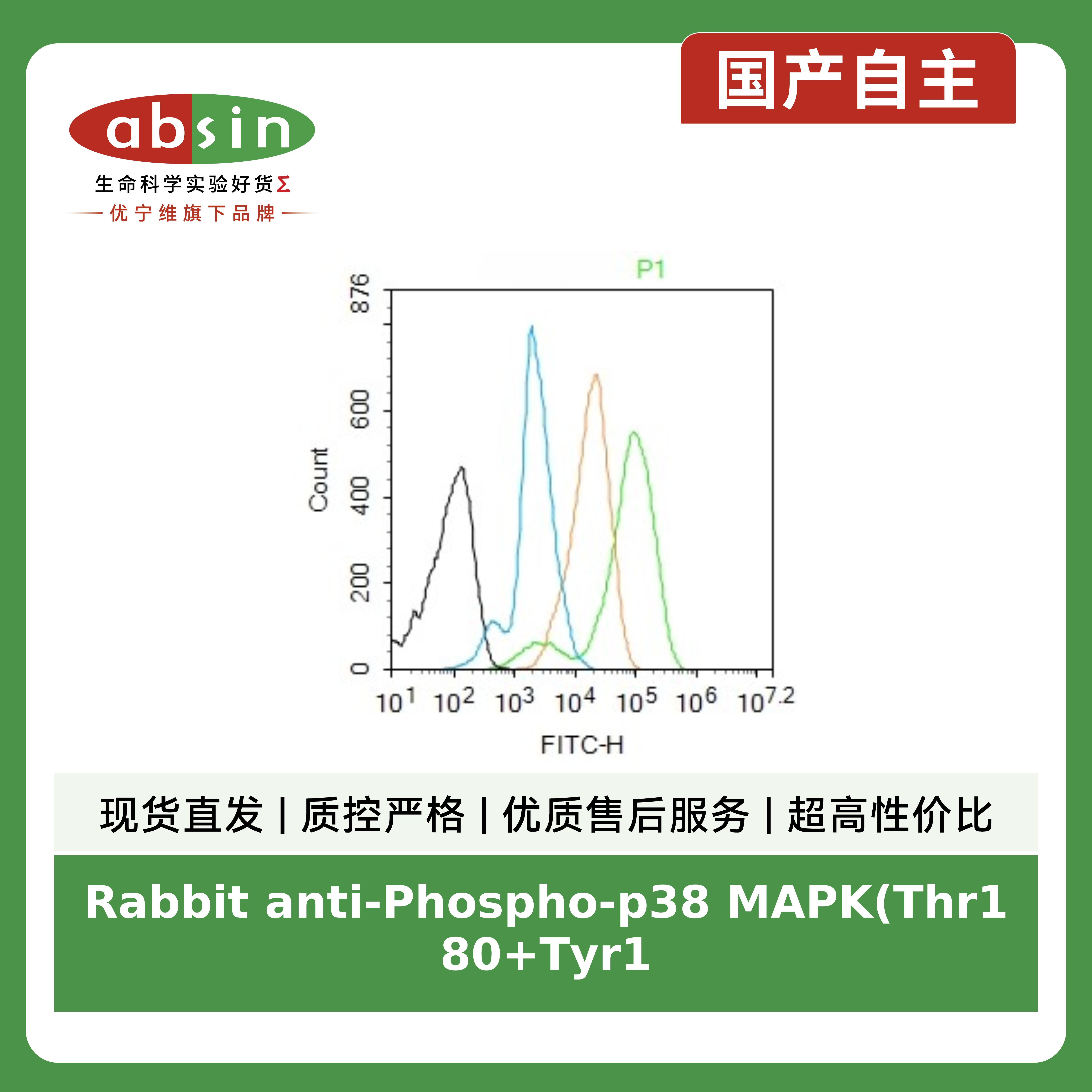 Rabbit anti-Phospho-p38 MAPK(Thr180+Tyr182) Polyclonal Antibody产品图