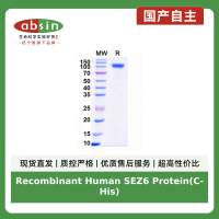 Recombinant Human SEZ6 Protein(C-His)