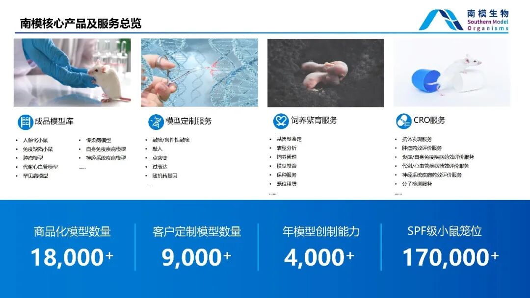 新闻图片4