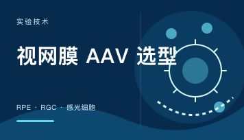 视网膜AAV怎么选？RPE、RGC、感光细胞的血清型、启动子与递送方式