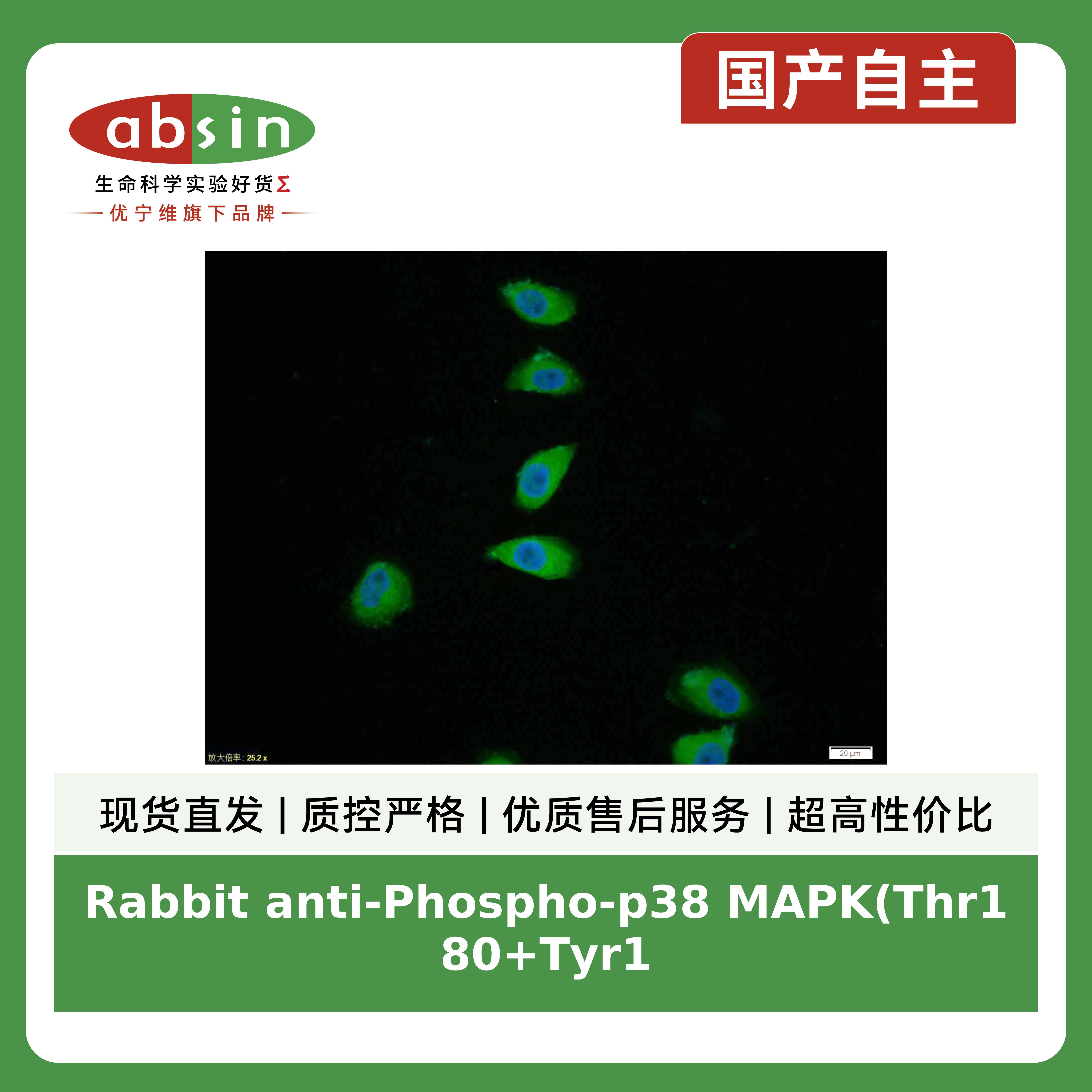 产品细节图片2