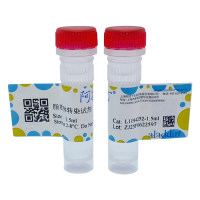 脂质体转染试剂,BioReagent, 分子生物学级, 无菌,阿拉丁