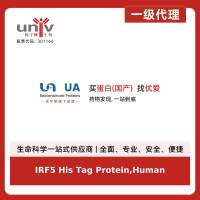 IRF5 His Tag Protein,Human